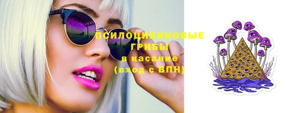 стаф Алексин
