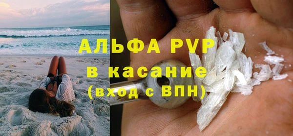 стаф Алексин