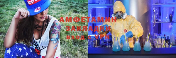 ГАЛЛЮЦИНОГЕННЫЕ ГРИБЫ Алзамай