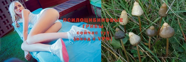 ГАЛЛЮЦИНОГЕННЫЕ ГРИБЫ Алзамай