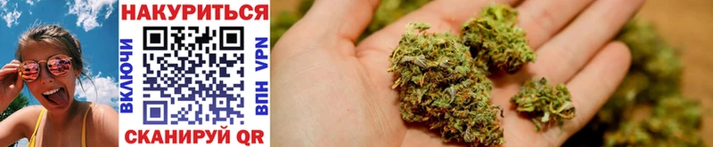 Каннабис OG Kush  Талдом 